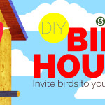 DIY Birdhouse- More Birds in your backyard