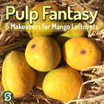 Pulp Fantasy | 5 Makeovers for Mango Leftovers!