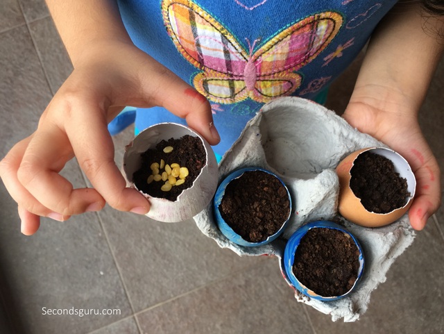 Upcycle eggshells into seed planters in a unique Easter DIY