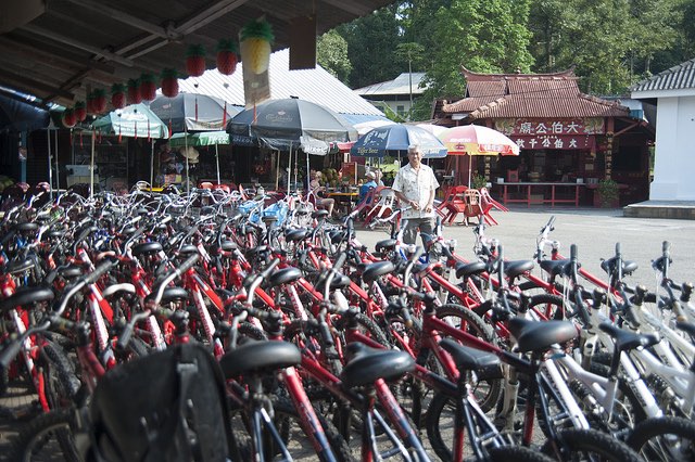 Get your own bike, or rent from the shops at Palau Ubin