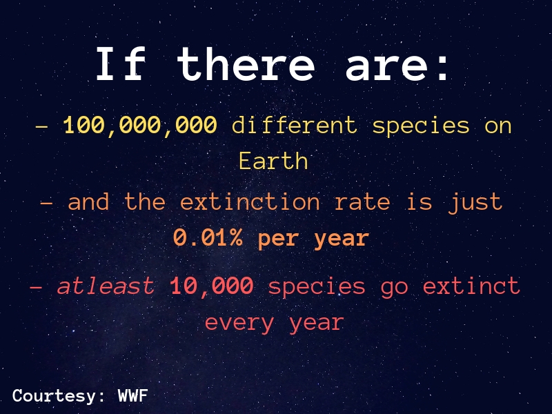 Extinction Rate calculated by WWF