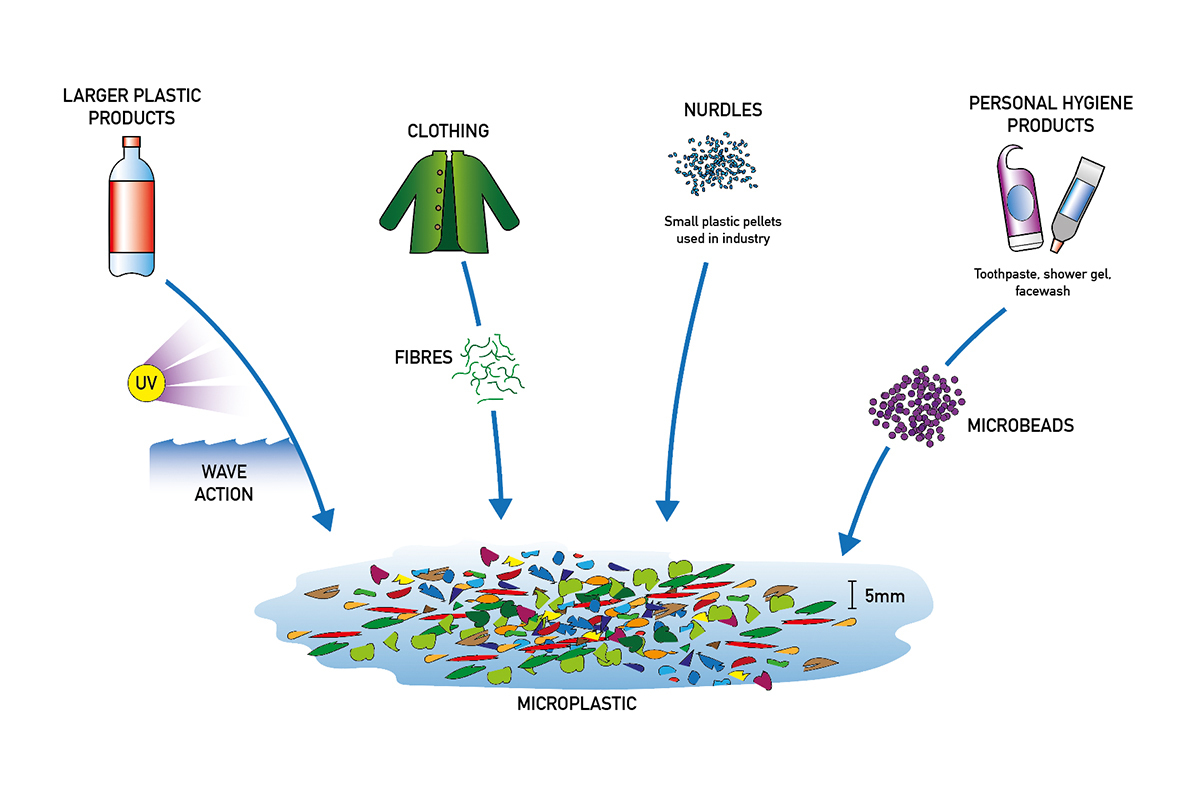 microplastic-mayhem-the-tiny-pollutant-that-has-a-big-impact