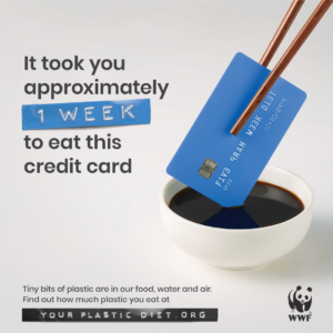 WWWF Campaign eat a credit card weekly