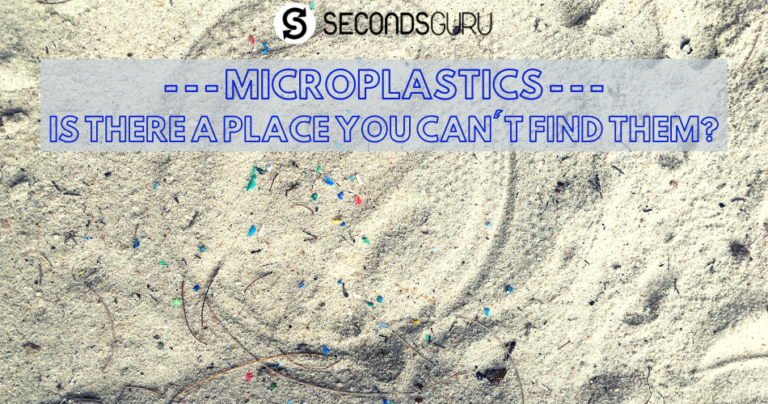 microplastic in our gut ocean everywhere