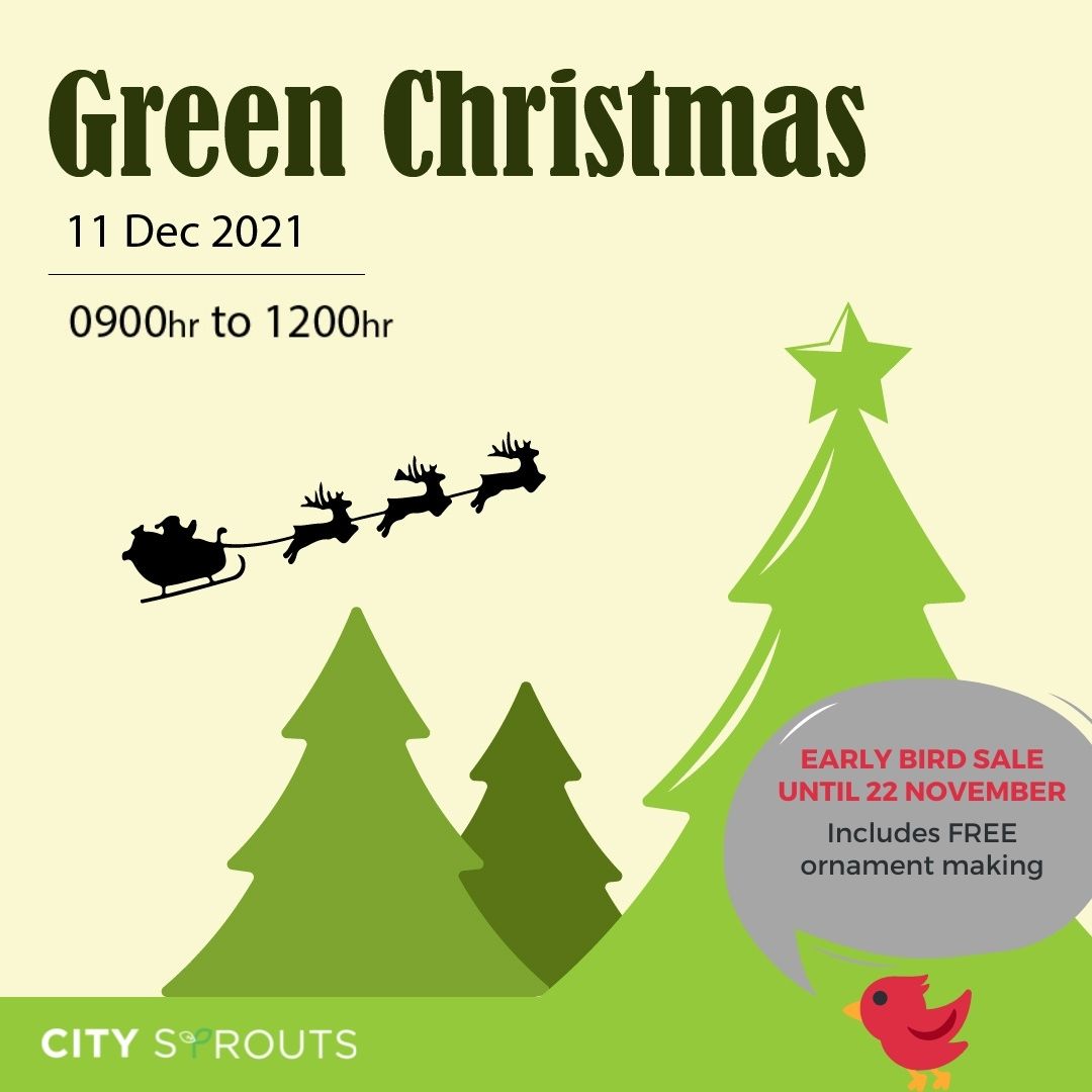 Green Christmas at City Sprouts Secondsguru