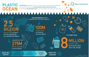 Plastic Ocean - What ails our seas?