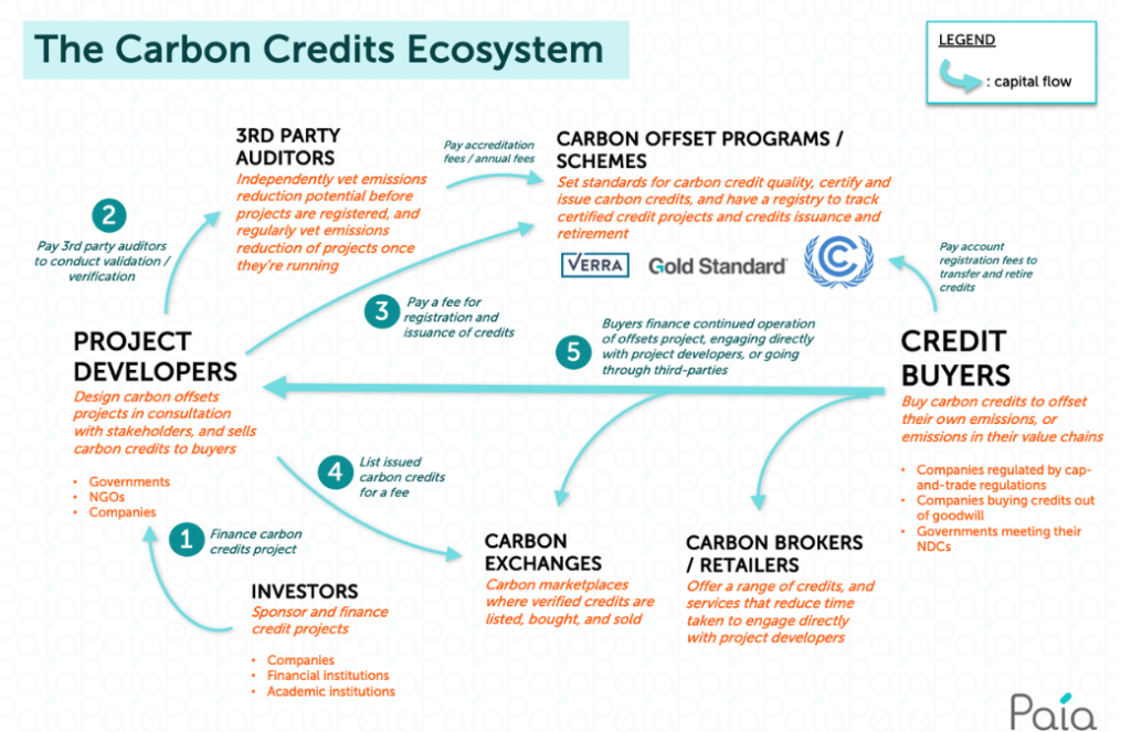 The carbon credit ecosystem