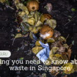 Food waste in singapore