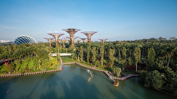 Gardens by the bay free walking Nature and Sustainability Tours